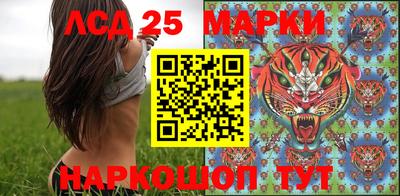 apvp Обнинск