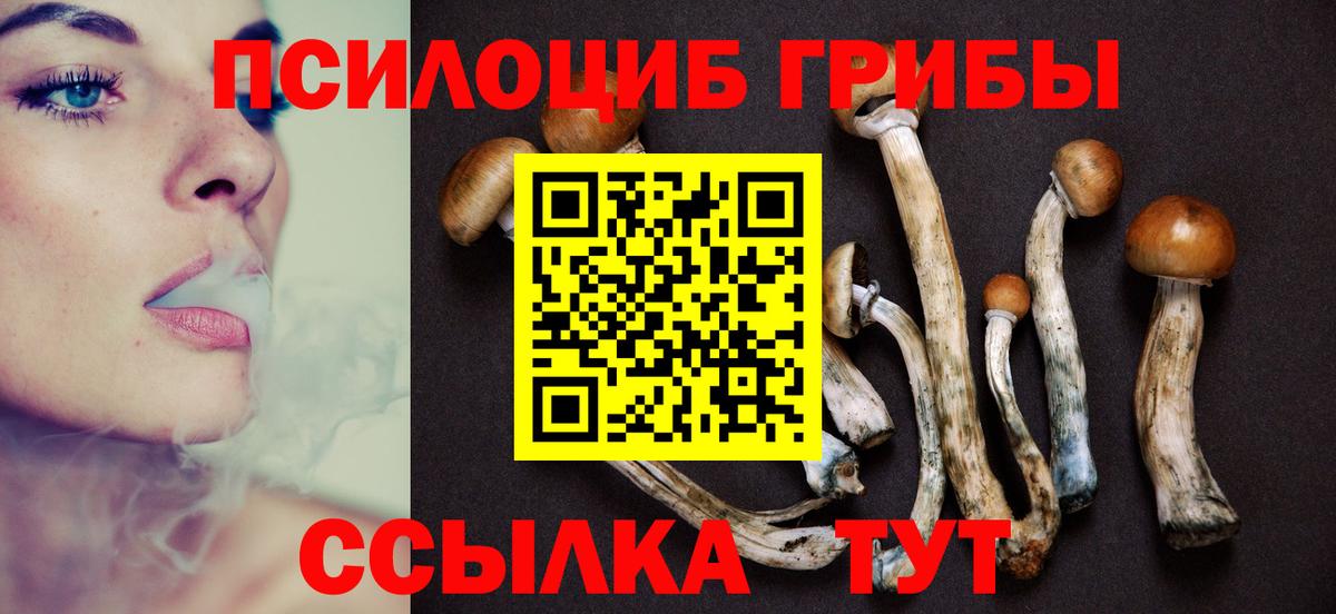 Первоуральск  Псилоцибиновые грибы Magic Shrooms  Вход с VPN 