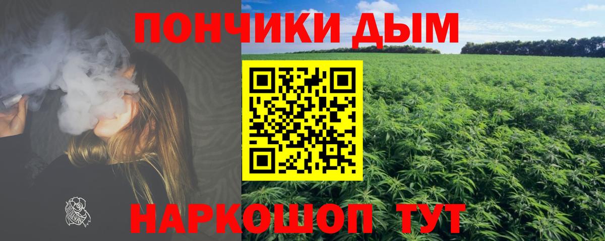 Бошки Шишки семена  Вход с VPN  Бошки Шишки план  Первоуральск 
